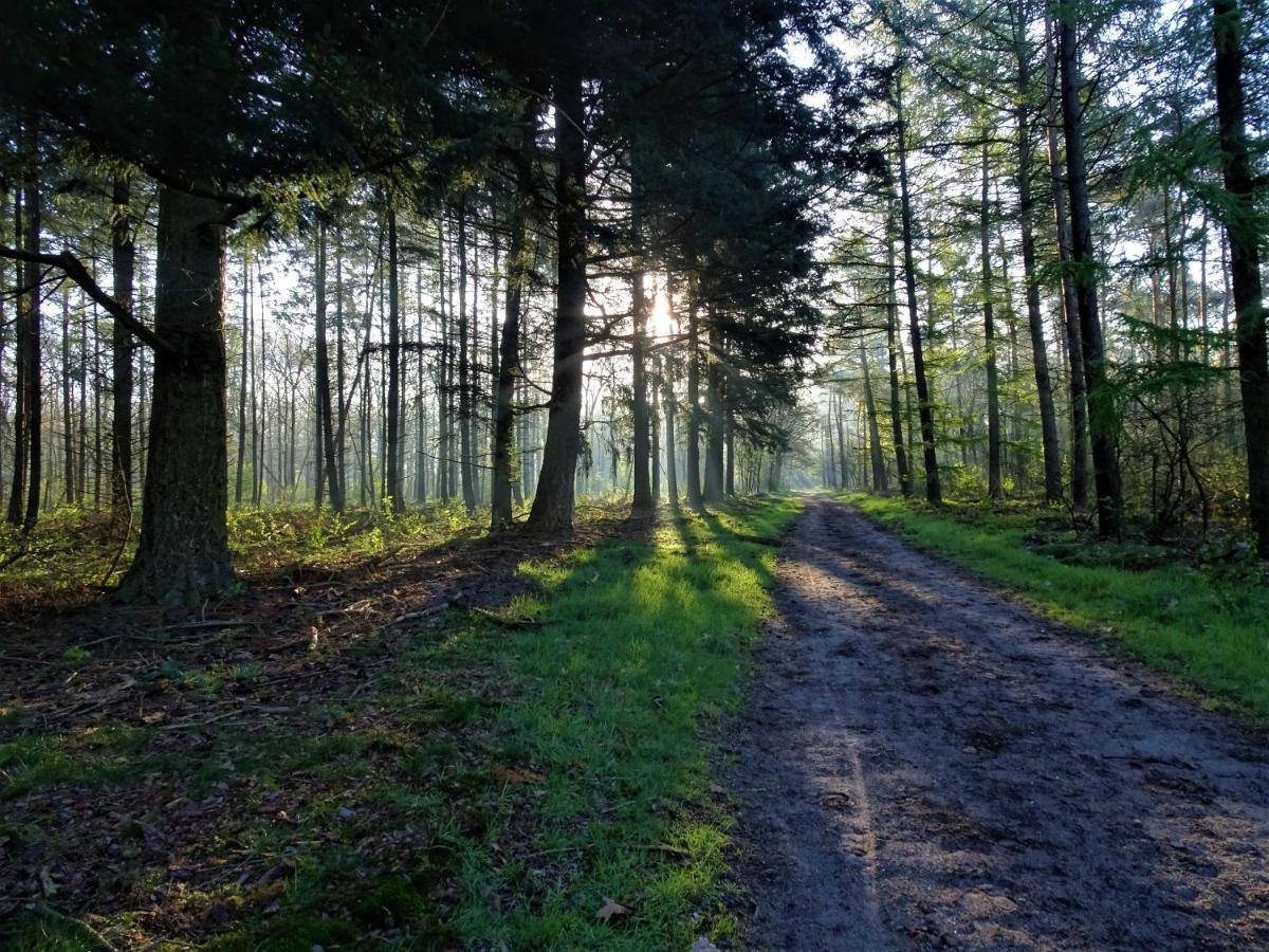 Veluwe Park Reewold Chalet Eclipse Пюттен Екстер'єр фото