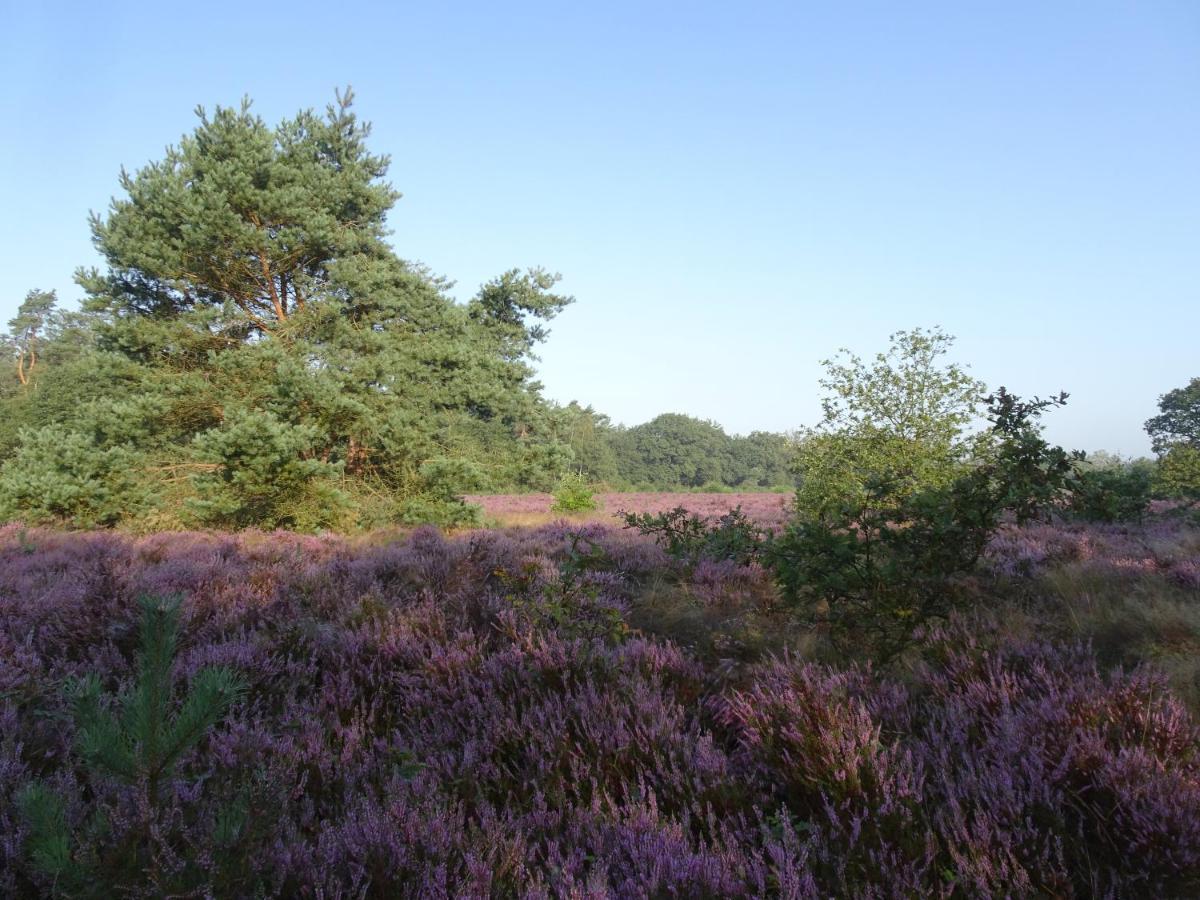 Veluwe Park Reewold Chalet Eclipse Пюттен Екстер'єр фото